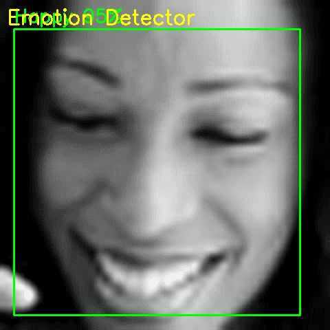 Emotions Detector